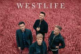 Wild Dreams(Westlife)