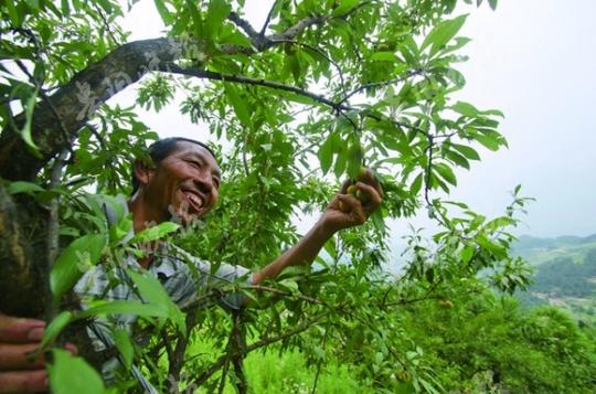 由贵阳晚报,zaker贵阳策划执行的脱贫攻坚大型融媒体报道,走进山盆镇