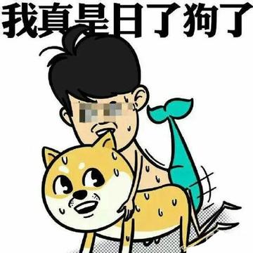 我真是日了狗了搞笑表情包