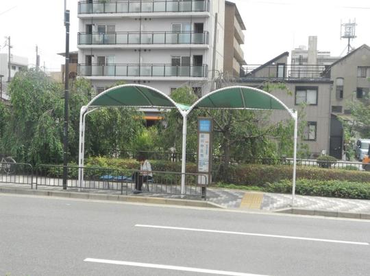 冷清,一个最适合描写日本城市公交站的词.大部分人乘坐快铁.