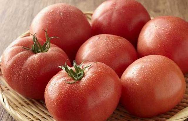 孕妇能吃小番茄吗早期