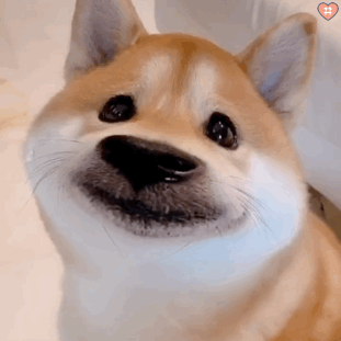 呜呜呜呜表情包可爱