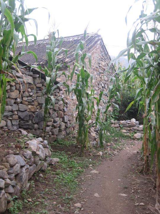 兴隆农家院小住记