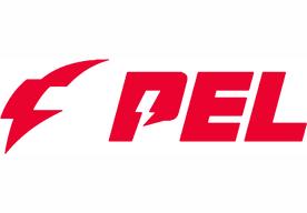 1/PEL(NV-Paraboy/LGD-诚c/TC-Suk/4am-33Svan/Q9-舒寒/WBG-野猫/TJB-沫竹/和平精英)