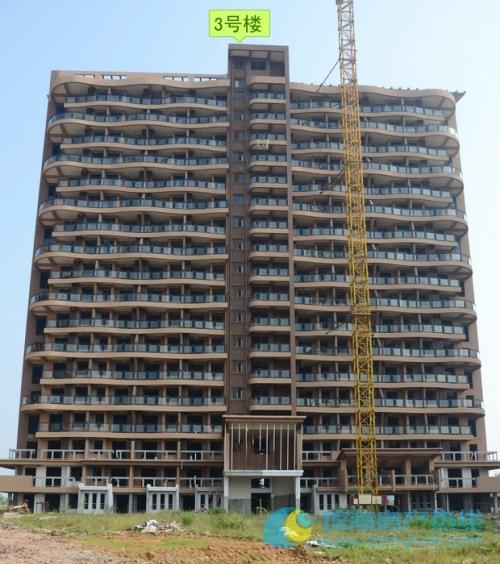 项目熙园组团工程实景图项目周边配套开发商海南美丽地产投资有限