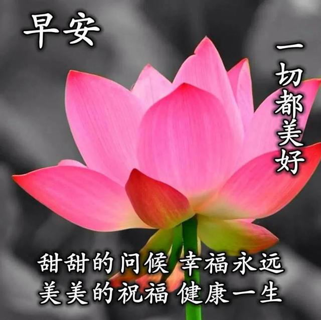2020朋友圈每日最简短早安心语