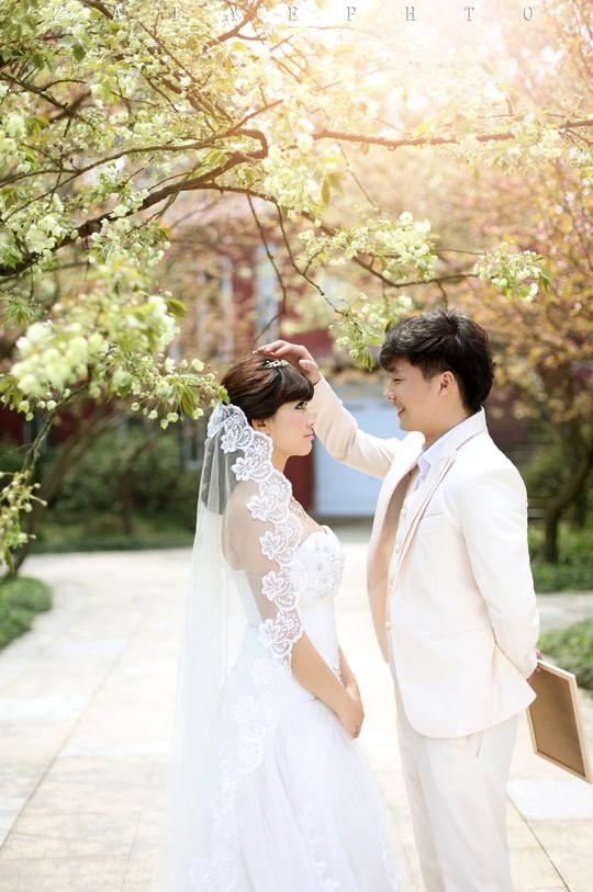 婚礼婚纱婚纱照结婚900_1355竖版竖屏
