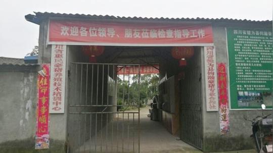 四川省返乡创业明星企业--犍为县钧瀚豪猪专业合作社