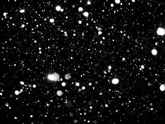 雪素材.-花瓣网|陪你做生活的设计师|素材唯美雪