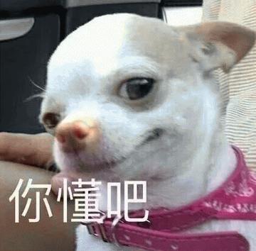 你懂的可爱搞笑表情包