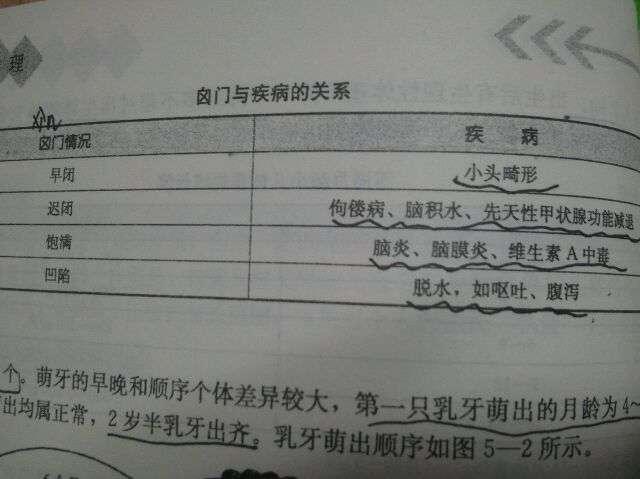 宝宝卤门闭合的正常时间