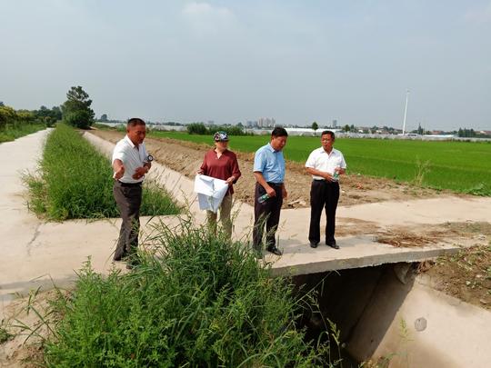 海安市曲塘镇:审计关注高标准农田项目建设(图片).jpg