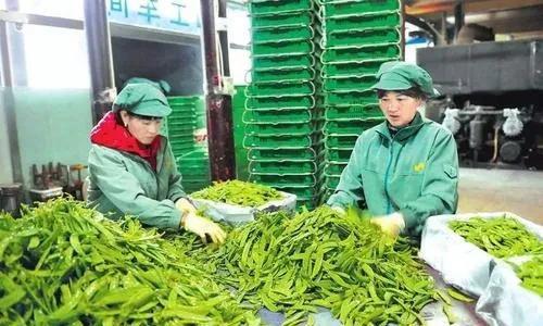 找项目做小生意农村(农村急缺的3个项目)