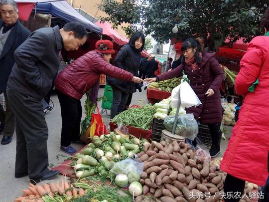 农村人月薪3000元,辞职去摆摊卖菜,靠谱吗?