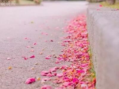 小学毕业伤感长篇说说大全带图片