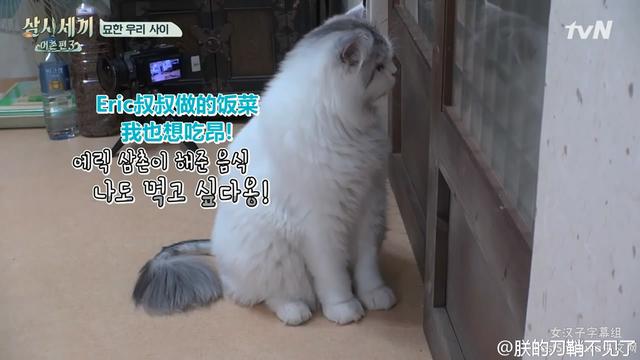 为什么肚子饿了容易生气