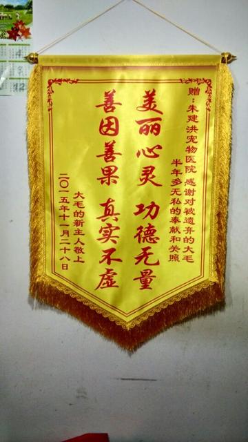 替孩子感谢老师的句子幼儿园