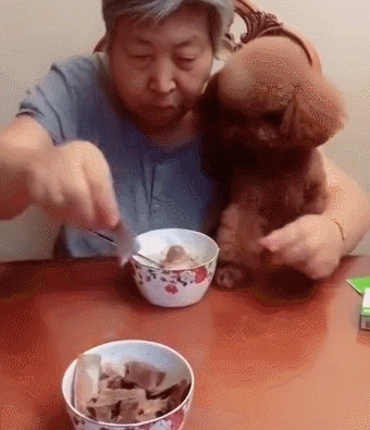 泰迪小色狗搞笑可爱萌萌哒gif