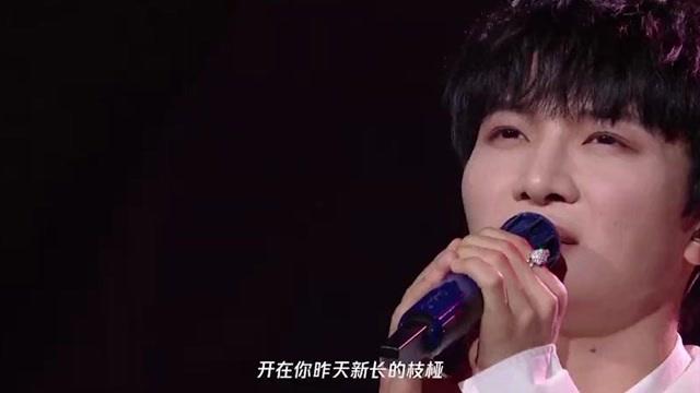 赵英俊送你一朵小红花是什么电影