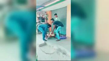 对方不想和你说话并向你扔了一只狗