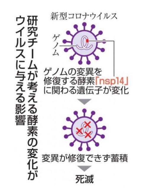 10余个国家发现新冠病毒新变种是怎么回事