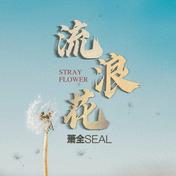 流浪花(萧全)
