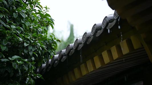 夏季雨天古建筑屋檐雨滴滴落