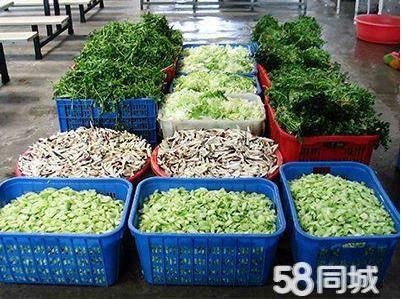 益国蔬菜水果配送承接酒店食堂学校一站式采购