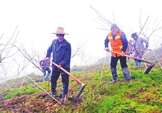 熊福康返乡创业建李子园助贫困户增收