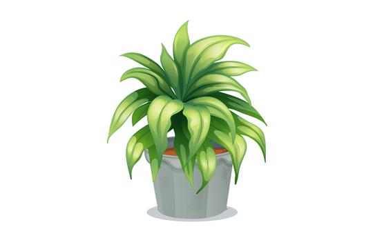 绿叶植物盆栽插图设计