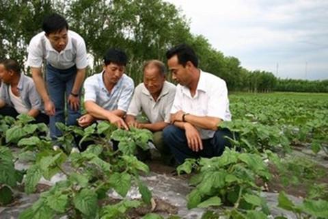 三农金服:返乡创业做特色养殖,特色种植可以吗?