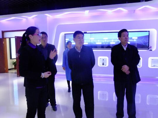 赵纯武对鹤壁市互联网+背景下大众创业,万众创新工作给予充分