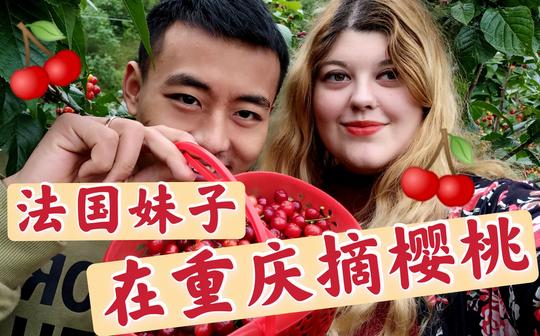 樱桃熟了，今天跟安娜去摘樱桃，和法国的樱桃有什么不一样呢?