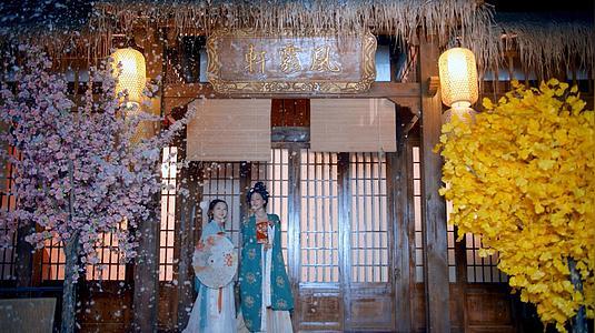 4k实拍汉服古风美女出游赏庭院景色视频素材的预览图