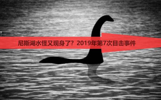 2019抖音上最火的歌曲串烧