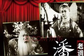 潘杨讼