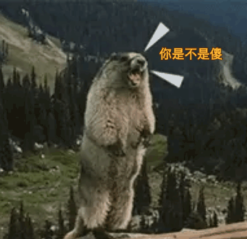 尖叫土拨鼠表情包抽搐gif动图