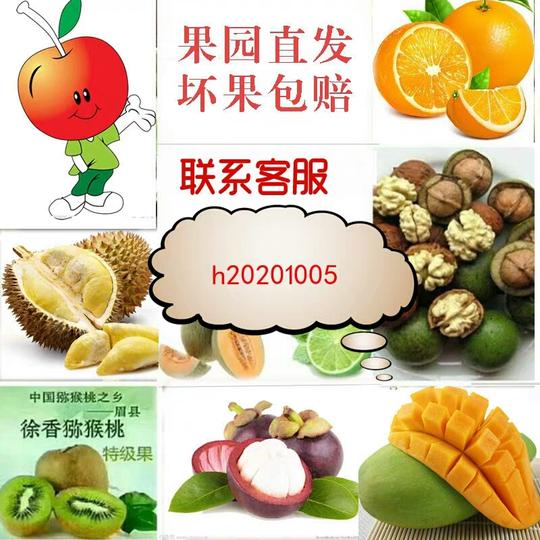新鲜水果微商代理水果代理水果一件代发代理招代理免费加盟水果