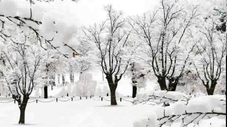 2136652_唯美大气下雪视频素材