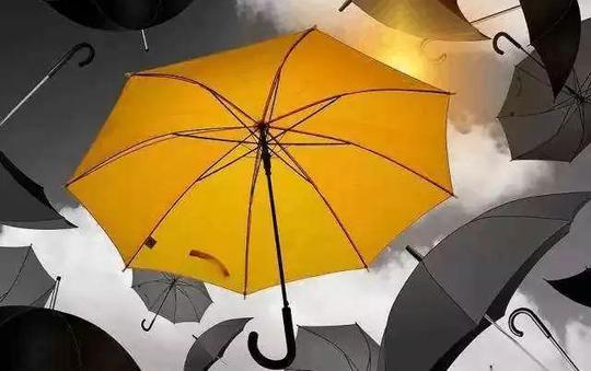 60岁退休老头,揣着仅有的2000元钱创业,靠卖雨伞一年做到20亿