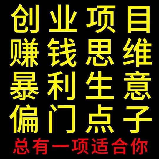 300个金点子致富秘籍快速赚钱副业小本创业168个偏门生意思路方法