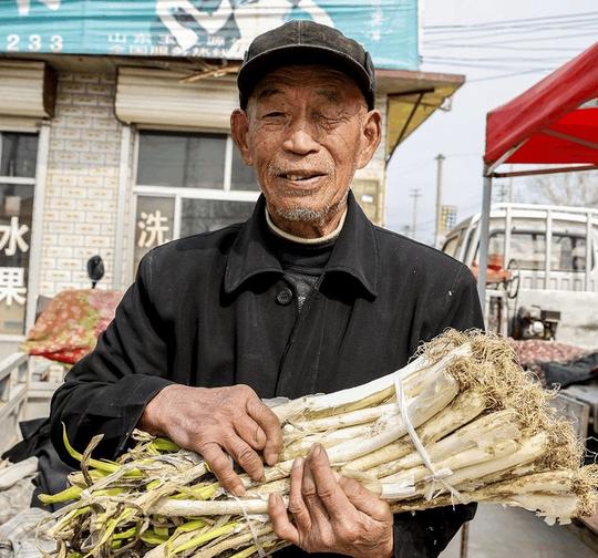 农村10个不但能养家,还能发财的小生意