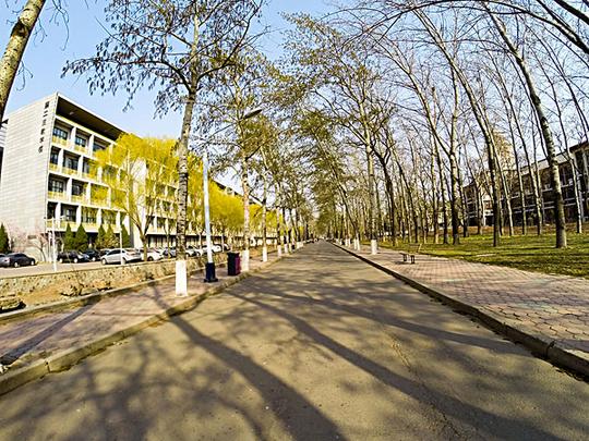 天津大学校园_图片大全—全景创意图库（quanjing.com）中国领先的正版图片视频素材网站