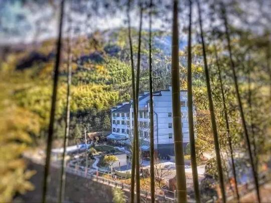 这儿是你欣赏风景,盛放美好心情的一处温柔乡!