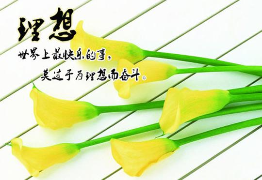 为了理想而奋斗