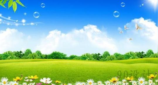 蓝天草地蓝天白云绿草地绿叶树叶鲜花草地绿地树木鸽子透明