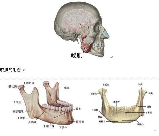 智齿是如何被拔出的