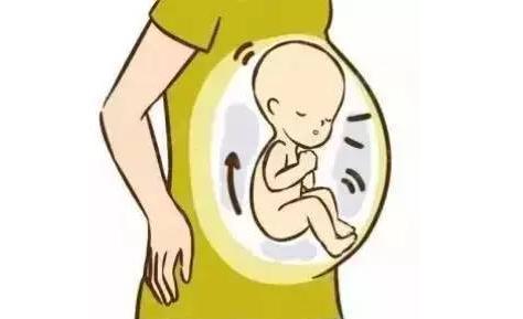 如何分辨肚子的宝宝是胎动还是打嗝