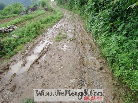 梦见自己走泥泞的路
