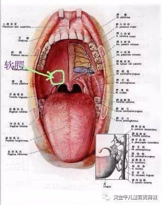手足口病如何护理口腔